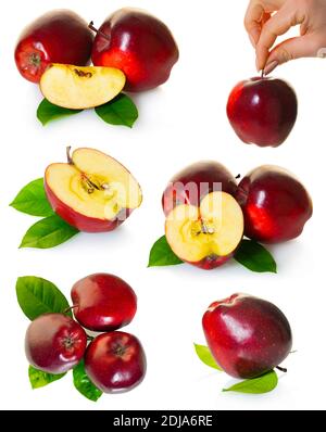 Setzen Sie rote Äpfel Obst auf weißen isolierten Hintergrund Stockfoto