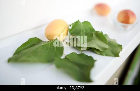 Aprikosen und ihre Blätter liegen auf einer weißen Fensterbank. Selektiver Fokus Stockfoto