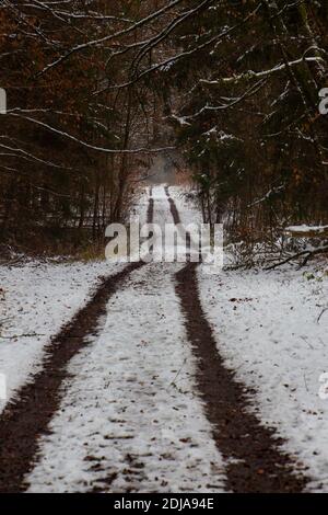 Auto Spuren im Schnee auf einer unbefestigten Straße führt Im Winter durch den Wald Stockfoto