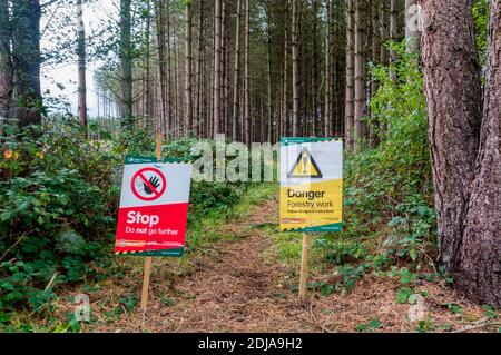 Warnschilder auf dem Fußweg bei Forstarbeiten im Thetford Forest. Stockfoto