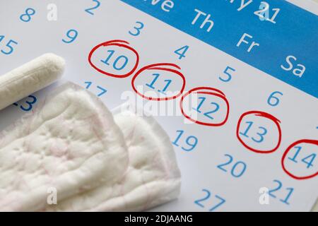 Sanitär-Pads und Tampons stehen auf dem Kalender. Die Zahlen sind in einem roten Stift eingekreist Stockfoto