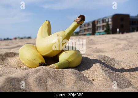 Ein Bündel gelbe Bananen auf dem Sand. Im Hintergrund ein Rastplatz, ein Restaurant und ein Hotel. Bundesstaat Michigan, Grand Haven Stockfoto