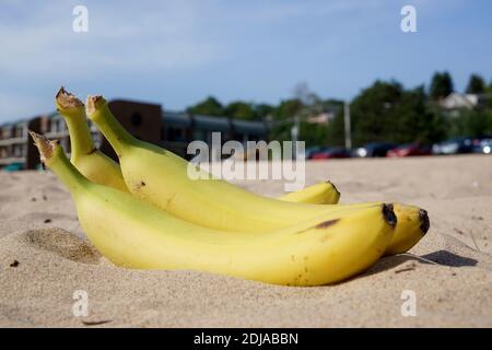 Ein Bündel Bananen auf dem Sand. Im Hintergrund ein Erholungsgebiet, ein Restaurant, Bäume, Parkplatz. USA, Bundesstaat Michigan, Stockfoto