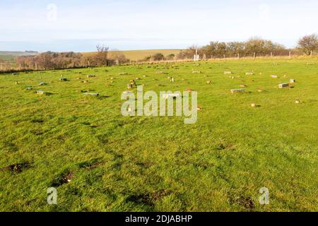 Betonpfosten Marker am neolithikum der vorgeschichtlichen Stätte des Sanctuary, Overton Hill, Wiltshire, England, Großbritannien Stockfoto