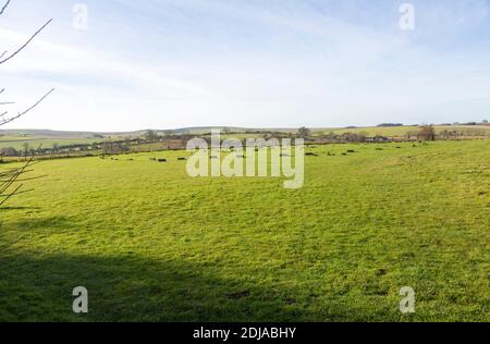 Betonpfosten Marker am neolithikum der vorgeschichtlichen Stätte des Sanctuary, Overton Hill, Wiltshire, England, Großbritannien Stockfoto