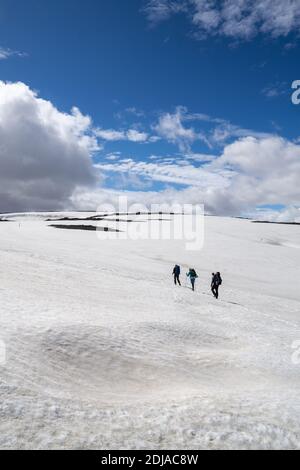 Gruppe von Wanderern, die auf einem Schneefeld zum höchsten Punkt der Laugavegur Wanderung, isländisches Hochland, Ende Juni aufsteigen Stockfoto