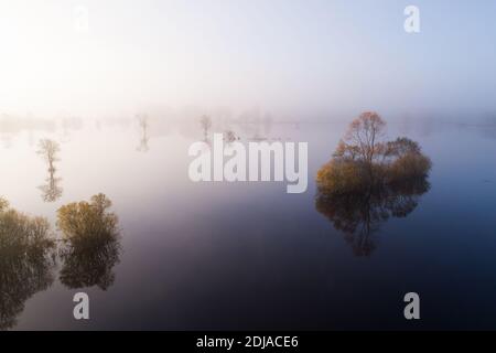 Soomaa Nationalpark während einer herbstlichen Flut auch bekannt als die fünfte Jahreszeit in einem nebligen Morgen in der estnischen Natur, Nordeuropa. Stockfoto