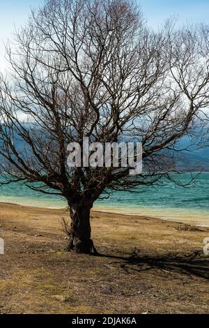 See Plastiras ( Λίμνη Πλαστήρα ) auch Tavropos Reservoir genannt, in der Nähe der Stadt Karditsa, Griechenland. Stockfoto