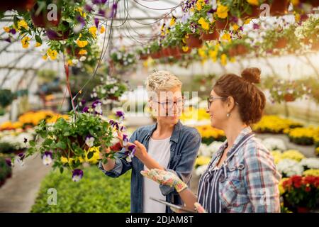 Charming fröhlich schöne Frau, die Blumen mit professionellen modernen Floristen Verkäufer in der großen Gewächshaus. Stockfoto