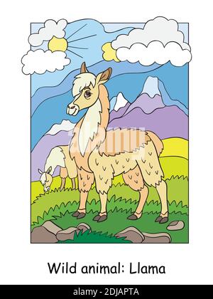 Vektor bunte Illustration mit niedlichen Lama in Berggebiet. Karikatur Kontur Illustration isoliert auf weißem Hintergrund. Stock Illustration für Farbe Stock Vektor