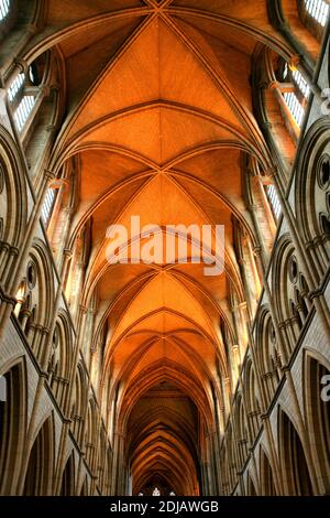 Exeter Cathedral, Truro, Cornwall, UK innen gewölbte Holzdecke Stockfoto