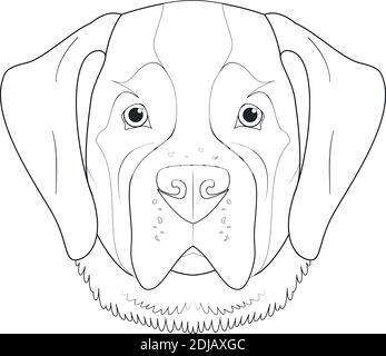 Saint Bernard Hund einfache Färbung Cartoon Vektor Illustration. Isoliert auf weißem Hintergrund Stock Vektor