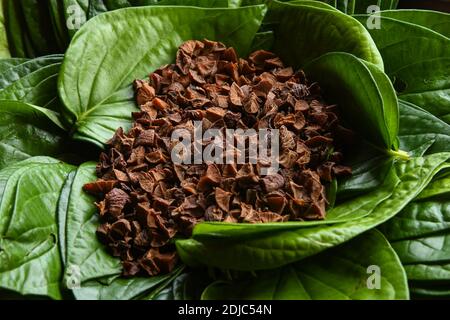 Betelnüsse auf Betelblättern. Indische Pfanne, die während Feiern und Zeremonien verwendet wird. areca Mutter und Pfanne Blatt Hintergrund. Stockfoto