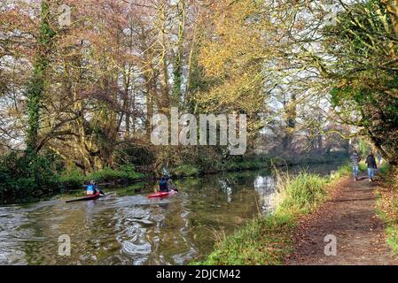 Zwei Kanufahrer paddeln auf dem Fluss Wey Navigationskanal an einem Wintertag, Byfleet Surrey England UK Stockfoto