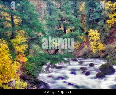Nordgabel der Mittelgabel Willamette River mit Herbstfarbe. Aufderheide National Scenic Byway. Oregon. Stockfoto