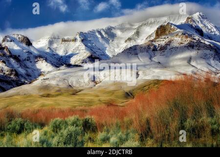 Steens Mountain mit Neuschnee und rote Weiden. Oregon Stockfoto