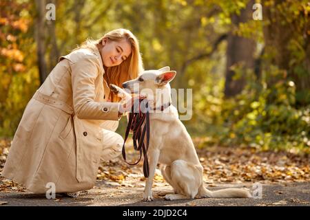 Frau spielt Hund, wie sie durch die gefallenen Blätter im Wald an einem Herbsttag zu Fuß. Aktive Hund Spaziergang mit Hundebesitzer Stockfoto