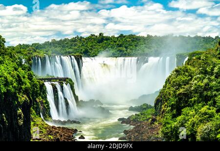 Iguazu Falls in einem tropischen Regenwald in Argentinien Stockfoto