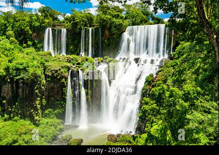 Blick vom Dschungel auf die Iguazu Wasserfälle in Argentinien Stockfoto