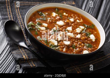 Griechische braune Linsensuppe Fakes ist eine einfache und gesunde ein-Topf-Rezept close-up in einem Teller auf dem Tisch. Horizontal Stockfoto