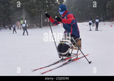 Perm, Russland - 12. Dezember 2020: Sportler mit Behinderung trainiert für den paralympischen Langlauf-Sit-Ski-Wettbewerb auf einer Waldstrecke Stockfoto