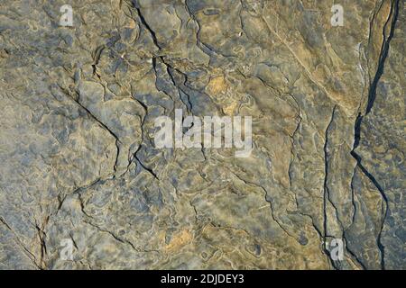 Eine Nahaufnahme der interessanten Risse, Adern in einem Felsen am Strand an der Union River Bay in Surry, Maine. Stockfoto