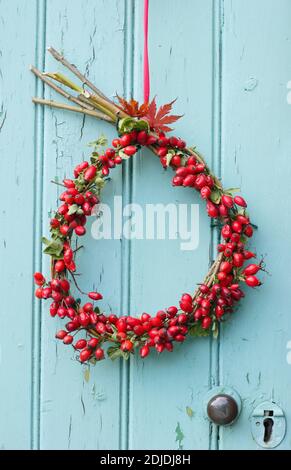 Hausgemachter Herbstgebuttenkranz, der an einer Holzschupptür hängt. UK Stockfoto