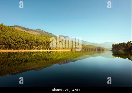 Schöner, ruhiger und friedlicher See, flankiert von dichtem Wald und hügeligen Bergen unter blauem Himmel bei Sonnenaufgang in der Nähe von Munnar, Kerala, Südindien. Stockfoto