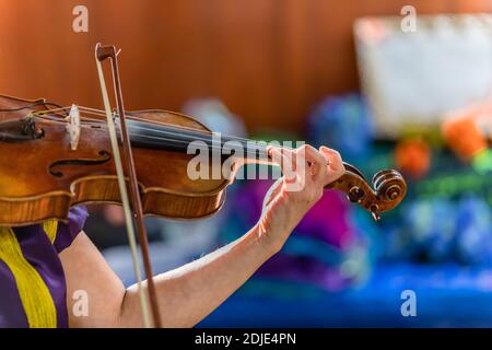 Selektiver Fokus der Frau Hände spielen Violine Musikinstrument mit orchester während des Festivals von Dia de los muertos Stockfoto