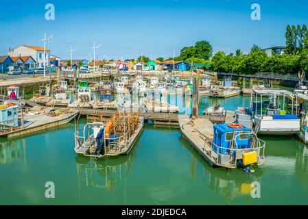 Austernboote im Hafen von Chateau d'Oléron, Insel Oleron an der Atlantikküste von Charente Maritime, Frankreich, bei Sommersonne Stockfoto