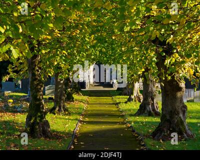 Allee der Bäume und Tür an der Pfarrkirche von St. Barnabas in Bradwell ein Dorf am High Peak Derbyshire England Großbritannien Stockfoto