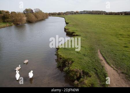 Blick auf die Themse in Lechlade, Gloucestershire, Großbritannien, aufgenommen am 19. Oktober 2020 Stockfoto