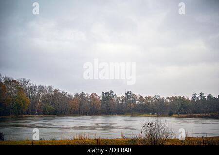 Burke County, GA USA - 12 14 20: Ein Teich früh am Morgen an einem regnerischen Tag Stockfoto