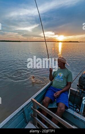 Ein brasilianischer Angler hooks einen Yellow-Belly Piranha in seinem Boot, als die Sonne über dem Mutum River in der weltweit größten Feuchtgebiete, dem Pantanal in Braz untergeht Stockfoto