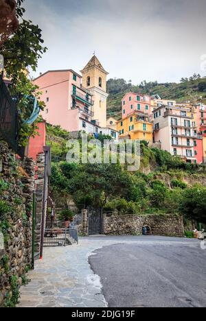 Eine Straße und traditionelle Häuser im Dorf Manarola im Nationalpark Cinque Terre, Italien Stockfoto