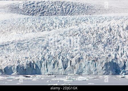 Isländischer Gletscher Fjallsjökull, Teil des Vatnajökull, der im Sommer in den Gletschersee Fjallsárlón kalbt Stockfoto