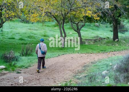 Ein Mann, der auf einem Naturpfad in der Nähe von Jerusalem, Israel, von grünem Gras und Bäumen umgeben wandert. Stockfoto