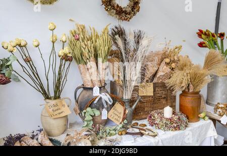 Getrocknete Blumen und Ephemera zum Verkauf in einem Stand auf der Country Brocante Wintermesse im Dezember auf dem Marktplatz, Midhurst, West Sussex Stockfoto