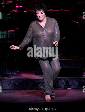 An Aging Liza Minelli tritt im Kravitz Centre, West Palm B each, FL, 1/15/06 auf. Stockfoto