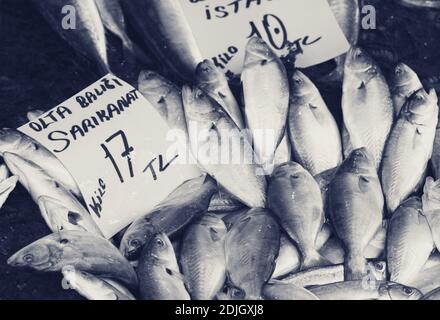 Roher nasser Täubling mit Preisschild auf dem Fischmarkt in Istanbul, Türkei. Schwarzweißbild mit Retro-Design. Stockfoto