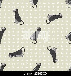 Nette Cartoon Saluki sitzende Vektor Cliparts. Pedigree Zwinger Hunderasse für Gehorsam Ausbildung. Reinrassige Hauswelpe für Hund zeigen Abbildung Maskottchen Stock Vektor