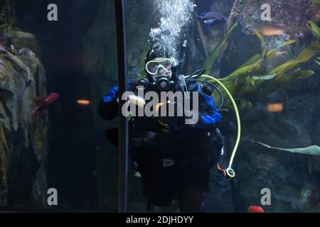 Ein Mitarbeiter in der Tauchausrüstung Reinigung eines Tanks im Oregon Coast Aquarium in Newport, Oregon. Stockfoto