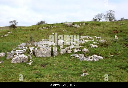 Kalksteinpflaster in der Nähe von Hartington im Derbyshire Peak District National Parken Stockfoto