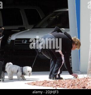 Exklusiv!! Oscar-Preisträgerin Jane Fonda (68) kommt mit ihrem Hund Tulea am Miami Dade College auf dem Wolfson Campus an, um ihr meistverkauftes Buch "Mein Leben bisher" zu promoten. Offensichtlich war Tulea erleichtert, die erste verfügbare Palme zu sehen und in Abwesenheit eines pooper scooper Fonda entfernte den Beweis mit einem weißen Taschentuch. Miami, Florida. 22/06 Stockfoto