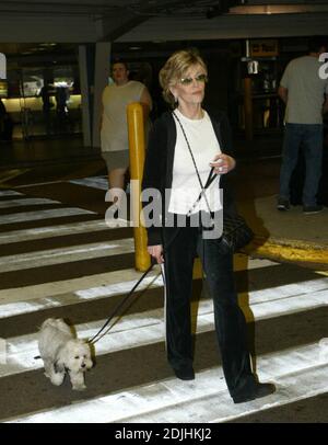 Exklusiv!! Oscar-Preisträgerin Jane Fonda (68) kommt mit ihrem Hund Tulea am Miami Dade College auf dem Wolfson Campus an, um ihr meistverkauftes Buch "Mein Leben bisher" zu promoten. Offensichtlich war Tulea erleichtert, die erste verfügbare Palme zu sehen und in Abwesenheit eines pooper scooper Fonda entfernte den Beweis mit einem weißen Taschentuch. Miami, Florida. 22/06 Stockfoto