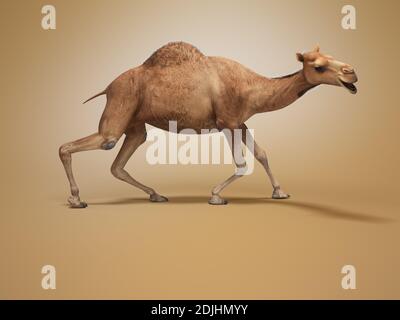 Kamel auf schwachen Beinen 3d-Rendering auf orangefarbenem Hintergrund mit Schatten Stockfoto