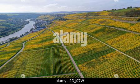 Weinberge bei Ahn, Moseltal, Kanton Grevenmacher, Großherzogtum Luxemburg Stockfoto