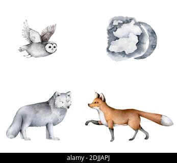 Waldtiere Satz von Ikonen und Illustrationen Stockfoto