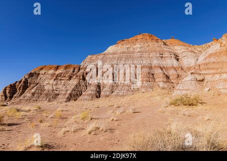 Schöne Landschaft rund um Toadhocker Hoodoos in Utah Stockfoto