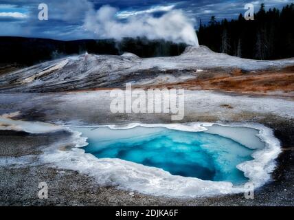 Herz-Feder mit Lion Gyser Eruping. Yellowstone-Nationalpark, Wyoming Stockfoto